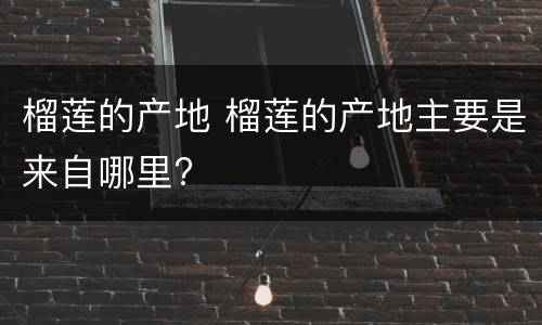 榴莲的产地 榴莲的产地主要是来自哪里?