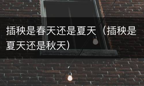 插秧是春天还是夏天（插秧是夏天还是秋天）