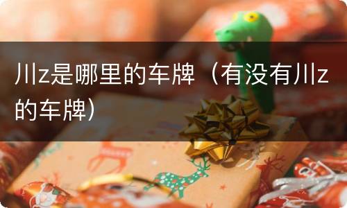川z是哪里的车牌（有没有川z的车牌）