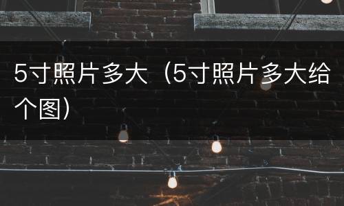 5寸照片多大（5寸照片多大给个图）
