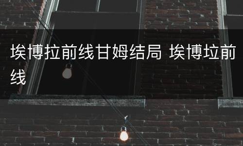 埃博拉前线甘姆结局 埃博垃前线