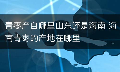 青枣产自哪里山东还是海南 海南青枣的产地在哪里