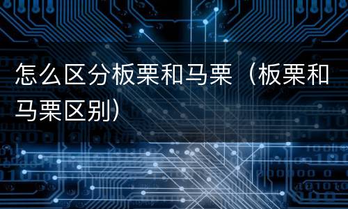 怎么区分板栗和马栗（板栗和马栗区别）