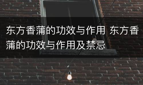 东方香蒲的功效与作用 东方香蒲的功效与作用及禁忌