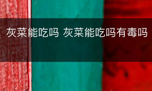 灰菜能吃吗 灰菜能吃吗有毒吗