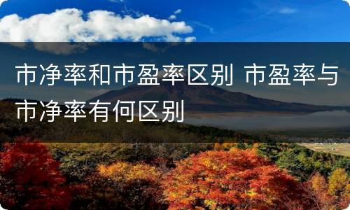 市净率和市盈率区别 市盈率与市净率有何区别