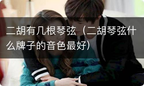 二胡有几根琴弦（二胡琴弦什么牌子的音色最好）