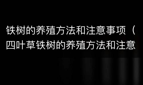 铁树的养殖方法和注意事项（四叶草铁树的养殖方法和注意事项）