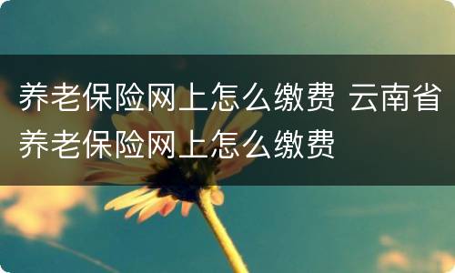 养老保险网上怎么缴费 云南省养老保险网上怎么缴费