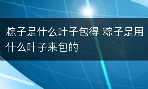 粽子是什么叶子包得 粽子是用什么叶子来包的