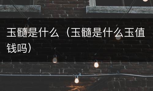 玉髓是什么（玉髓是什么玉值钱吗）