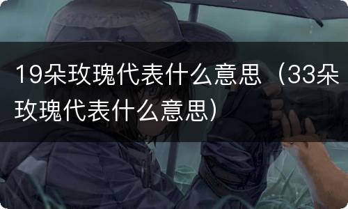 19朵玫瑰代表什么意思（33朵玫瑰代表什么意思）