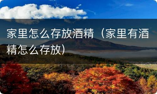 家里怎么存放酒精（家里有酒精怎么存放）