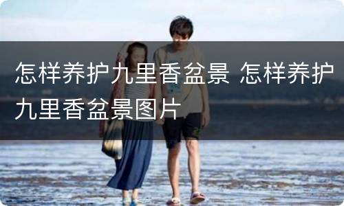 怎样养护九里香盆景 怎样养护九里香盆景图片