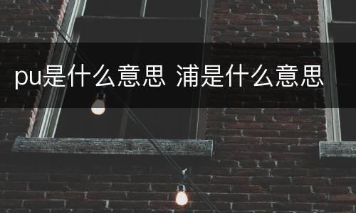 pu是什么意思 浦是什么意思