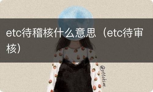 etc待稽核什么意思（etc待审核）