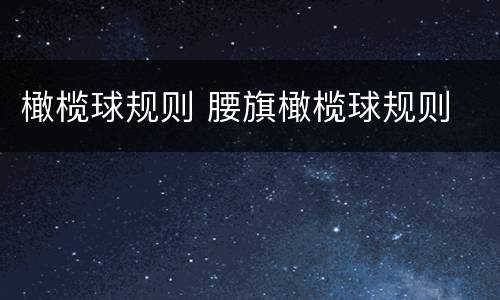 橄榄球规则 腰旗橄榄球规则