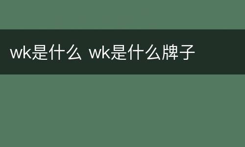 wk是什么 wk是什么牌子