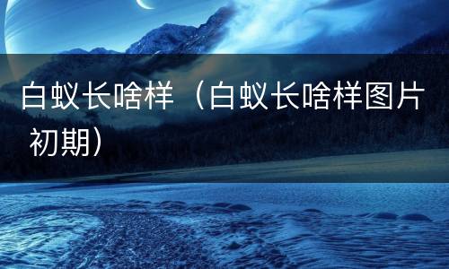 白蚁长啥样（白蚁长啥样图片 初期）