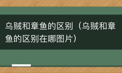 乌贼和章鱼的区别（乌贼和章鱼的区别在哪图片）