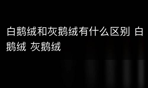 白鹅绒和灰鹅绒有什么区别 白鹅绒 灰鹅绒