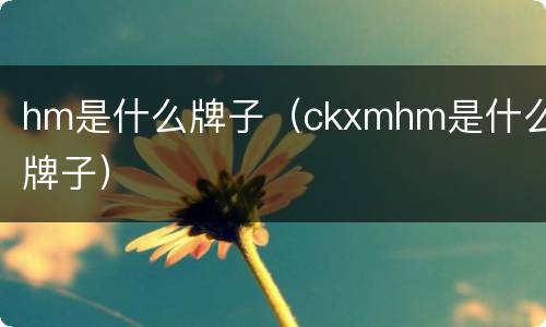 hm是什么牌子（ckxmhm是什么牌子）