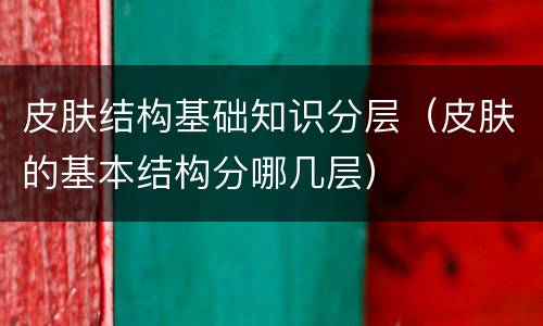 皮肤结构基础知识分层（皮肤的基本结构分哪几层）