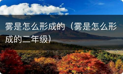 雾是怎么形成的（雾是怎么形成的二年级）