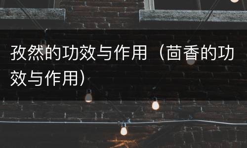 孜然的功效与作用（茴香的功效与作用）