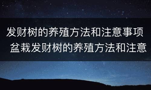 发财树的养殖方法和注意事项 盆栽发财树的养殖方法和注意事项