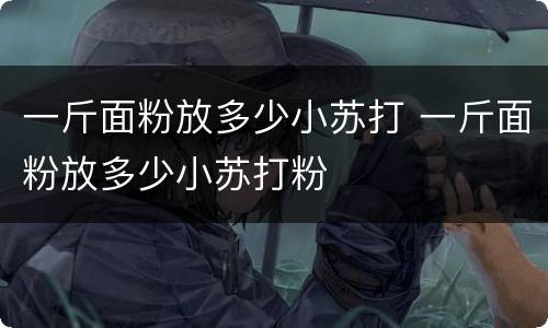一斤面粉放多少小苏打 一斤面粉放多少小苏打粉
