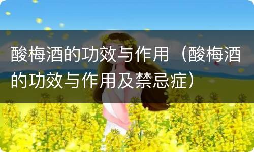 酸梅酒的功效与作用（酸梅酒的功效与作用及禁忌症）