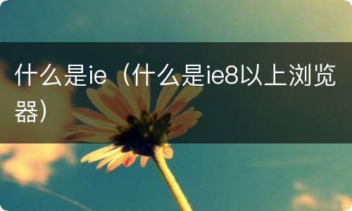 什么是ie（什么是ie8以上浏览器）