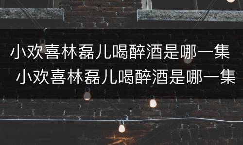 小欢喜林磊儿喝醉酒是哪一集 小欢喜林磊儿喝醉酒是哪一集哪分