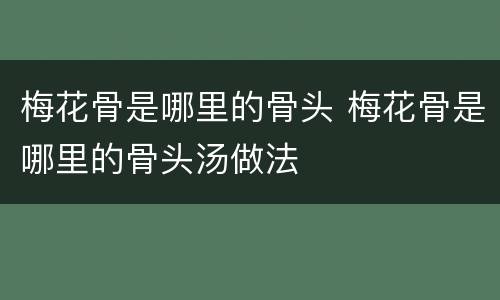 梅花骨是哪里的骨头 梅花骨是哪里的骨头汤做法