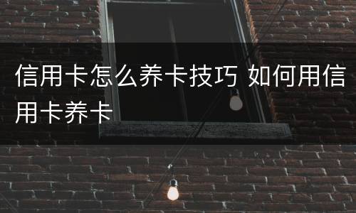 信用卡怎么养卡技巧 如何用信用卡养卡