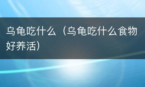 乌龟吃什么（乌龟吃什么食物好养活）