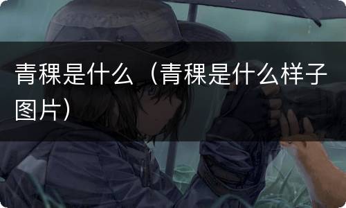 青稞是什么（青稞是什么样子图片）