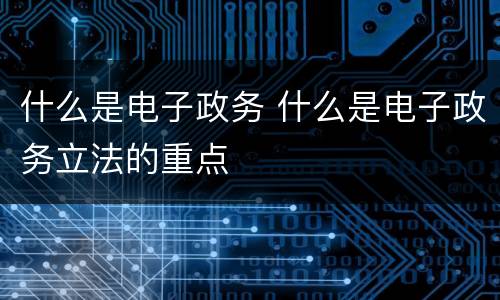 什么是电子政务 什么是电子政务立法的重点