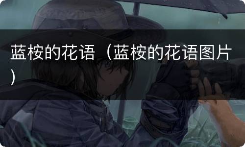 蓝桉的花语（蓝桉的花语图片）