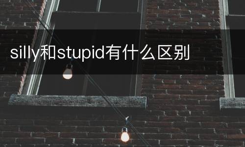 silly和stupid有什么区别