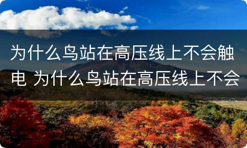 为什么鸟站在高压线上不会触电 为什么鸟站在高压线上不会触电而人不行