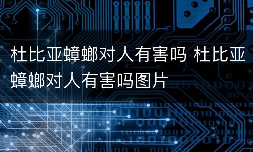 杜比亚蟑螂对人有害吗 杜比亚蟑螂对人有害吗图片