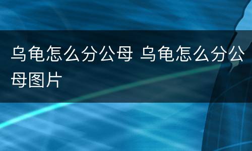 乌龟怎么分公母 乌龟怎么分公母图片