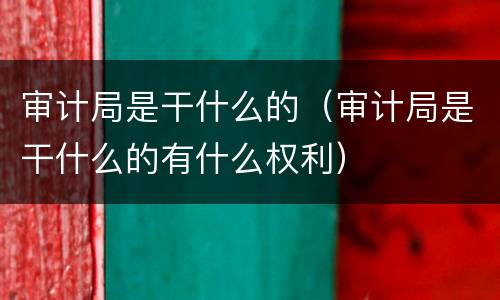 审计局是干什么的（审计局是干什么的有什么权利）