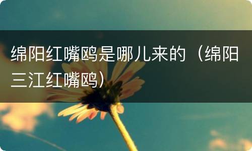 绵阳红嘴鸥是哪儿来的（绵阳三江红嘴鸥）