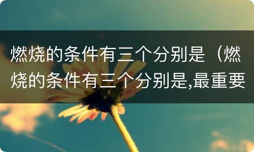 燃烧的条件有三个分别是（燃烧的条件有三个分别是,最重要的）