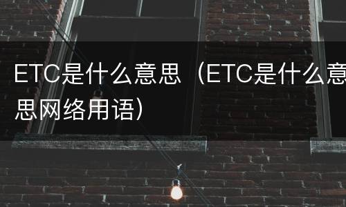 ETC是什么意思（ETC是什么意思网络用语）