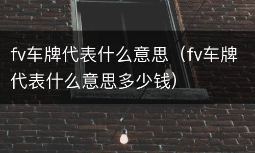 fv车牌代表什么意思（fv车牌代表什么意思多少钱）