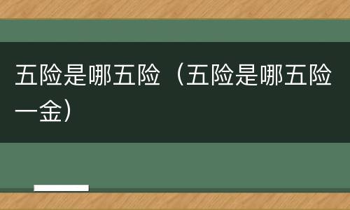 五险是哪五险（五险是哪五险一金）
